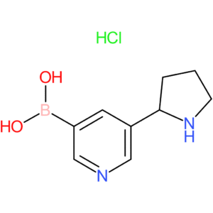 5-(pyrrolidin-2-yl)pyridin-3-ylboronic acid hydrochloride