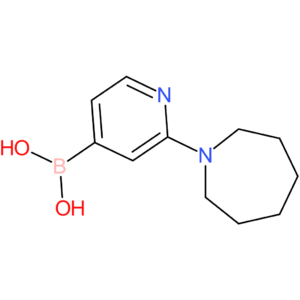 (2-(azepan-1-yl)pyridin-4-yl)boronic acid
