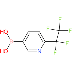 (6-(perfluoroethyl)pyridin-3-yl)boronic acid