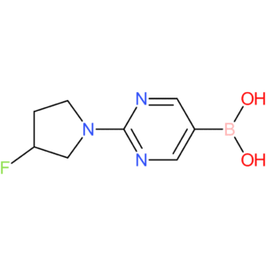 (2-(3-fluoropyrrolidin-1-yl)pyrimidin-5-yl)boronic acid