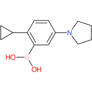 2-cyclopropyl-5-(pyrrolidino)phenylboronic acid