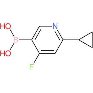 4-fluoro-2-(cyclopropyl)pyridine-5-boronic acid