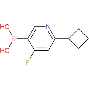 (6-cyclobutyl-4-fluoropyridin-3-yl)boronic acid