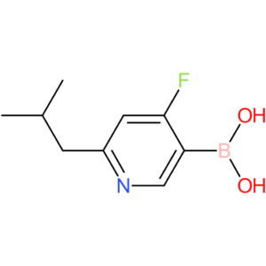 4-fluoro-2-(iso-butyl)pyridine-5-boronic acid
