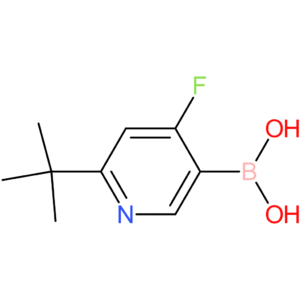 (6-tert-butyl-4-fluoropyridin-3-yl)boronic acid