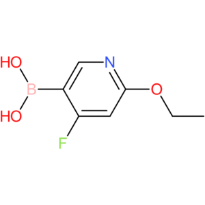(6-ethoxy-4-fluoropyridin-3-yl)boronic acid