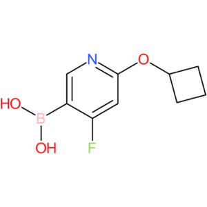 4-fluoro-2-(cyclobutoxy)pyridine-5-boronic acid
