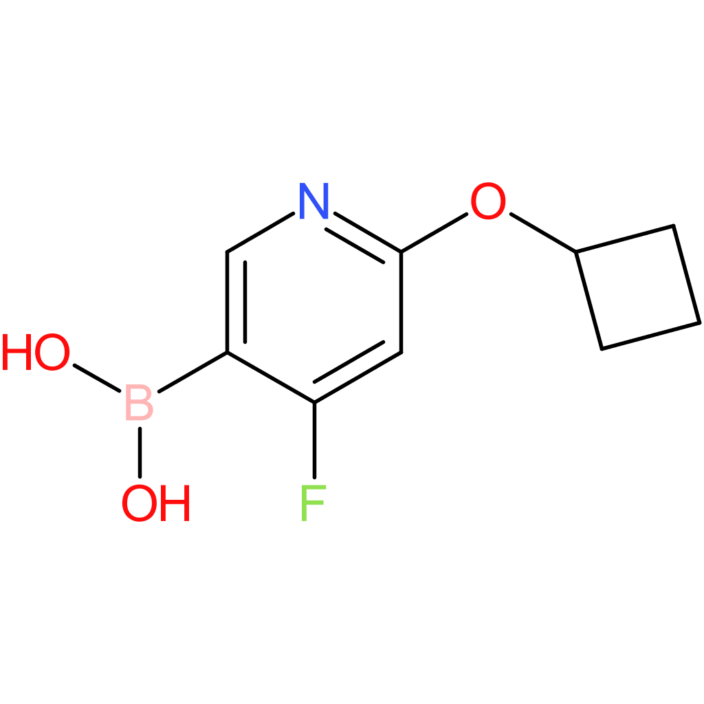 4-fluoro-2-(cyclobutoxy)pyridine-5-boronic acid