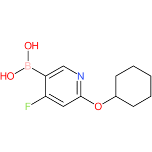 4-fluoro-2-(cyclohexyloxy)pyridine-5-boronic acid