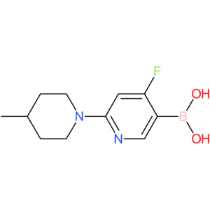 4-fluoro-2-(4-methylpiperidin-1-yl)pyridine-5-boronic acid