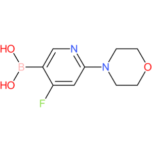 4-fluoro-2-(morpholino)pyridine-5-boronic acid