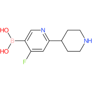 4-fluoro-2-(piperidin-4-yl)pyridine-5-boronic acid
