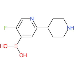 5-fluoro-2-(piperidin-4-yl)pyridine-4-boronic acid