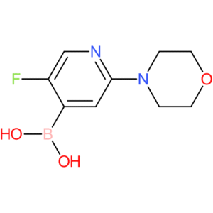 5-fluoro-2-(morpholino)pyridine-4-boronic acid