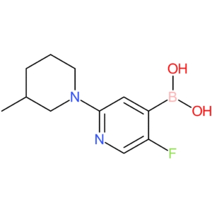5-fluoro-2-(3-methylpiperidin-1-yl)pyridine-4-boronic acid