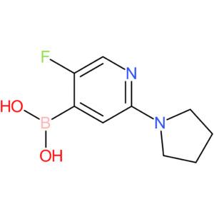 5-fluoro-2-(pyrrolidino)pyridine-4-boronic acid