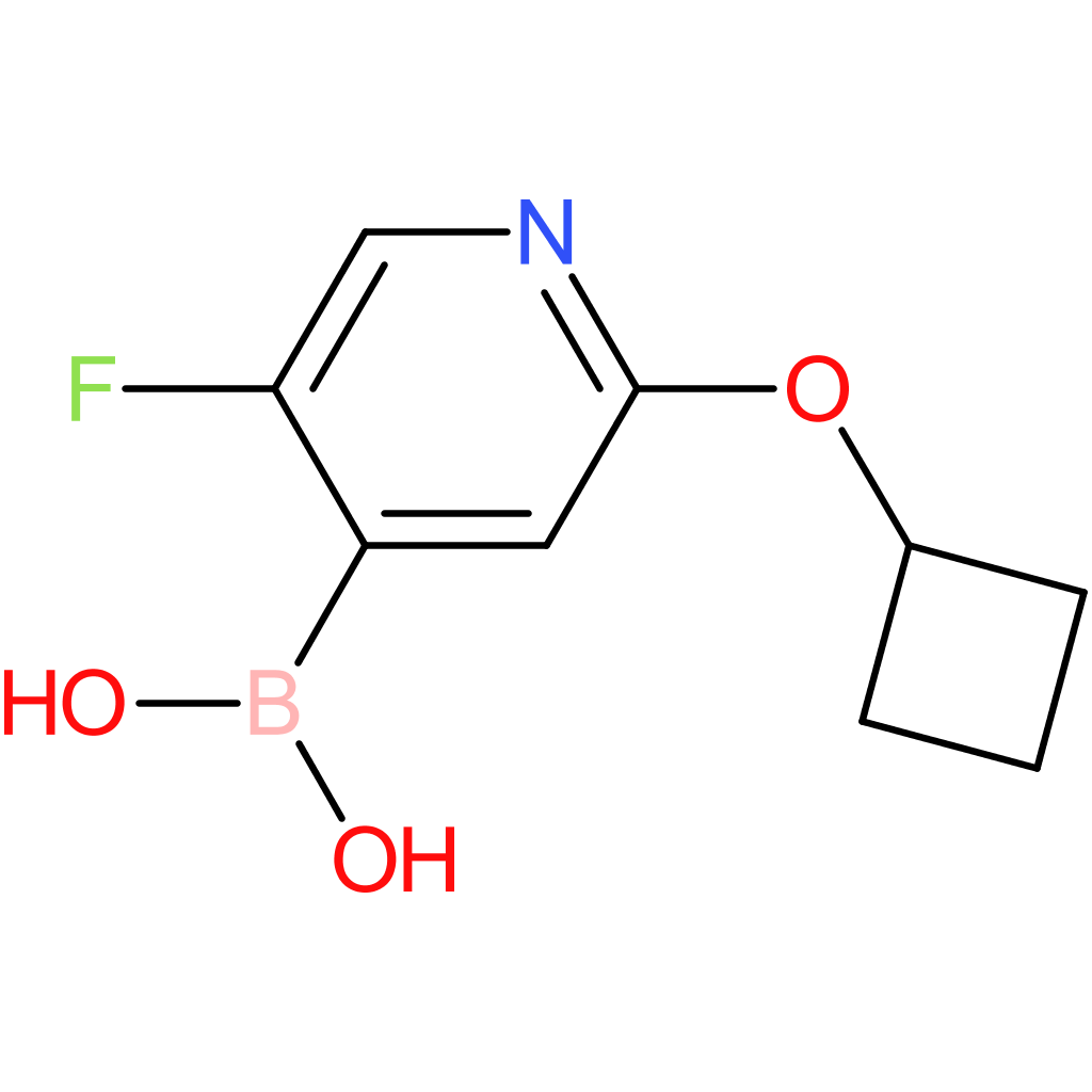 5-fluoro-2-(cyclobutoxy)pyridine-4-boronic acid
