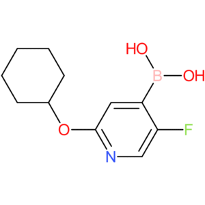 5-fluoro-2-(cyclohexyloxy)pyridine-4-boronic acid