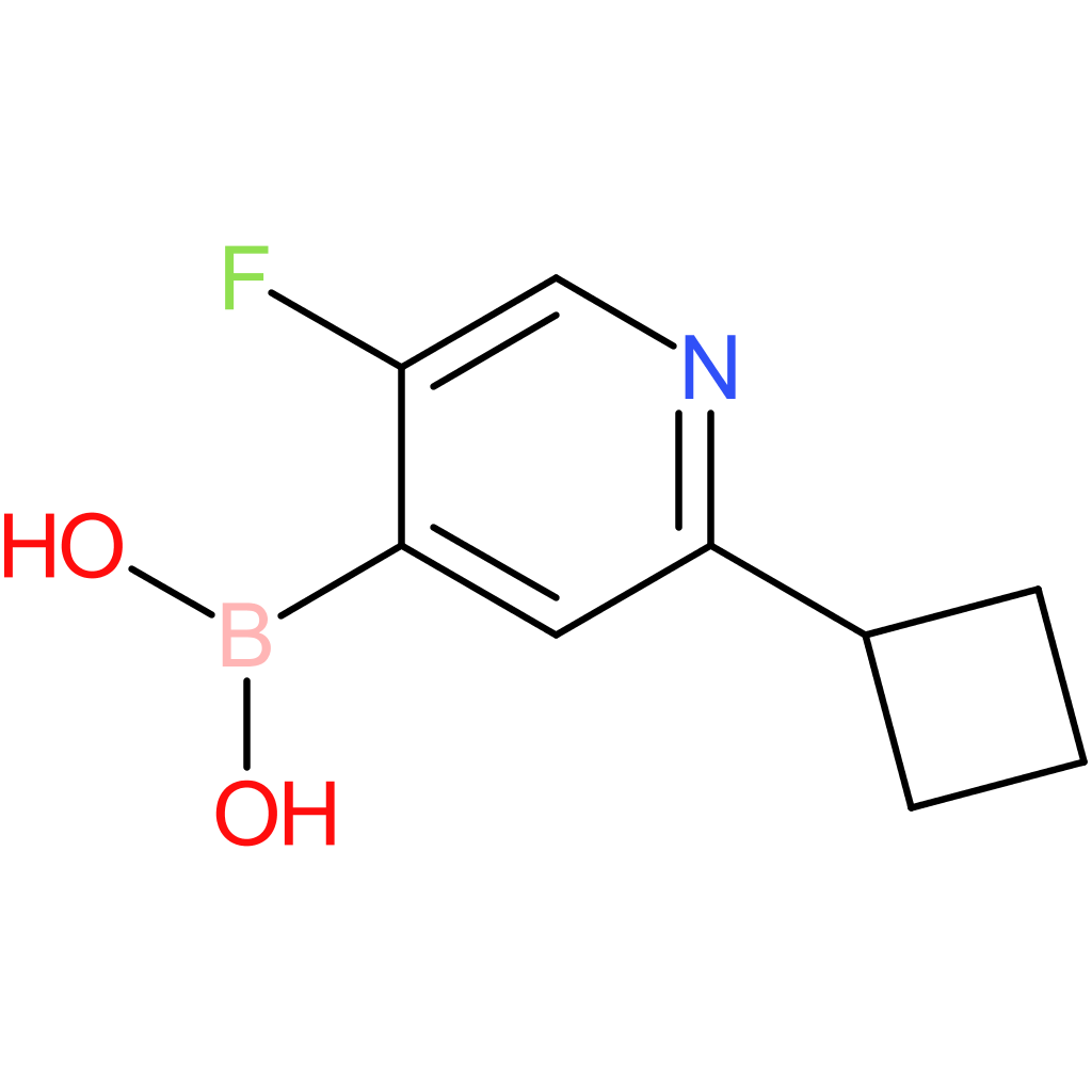 5-fluoro-2-(cyclobutyl)pyridine-4-boronic acid