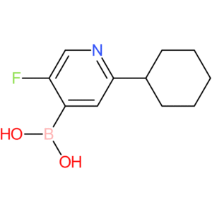 5-fluoro-2-(cyclohexyl)pyridine-4-boronic acid