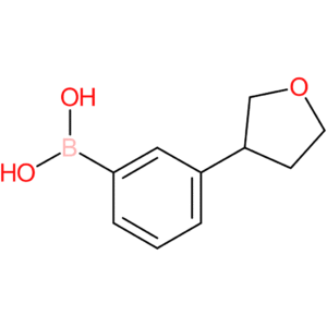 3-(3-tetrahydrofuranyl)phenylboronic acid