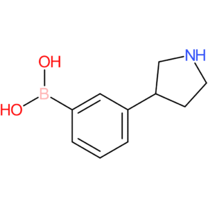 3-(pyrrolidin-3-yl)phenylboronic acid