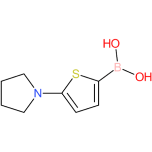 5-(pyrrolidino)thiophene-2-boronic acid
