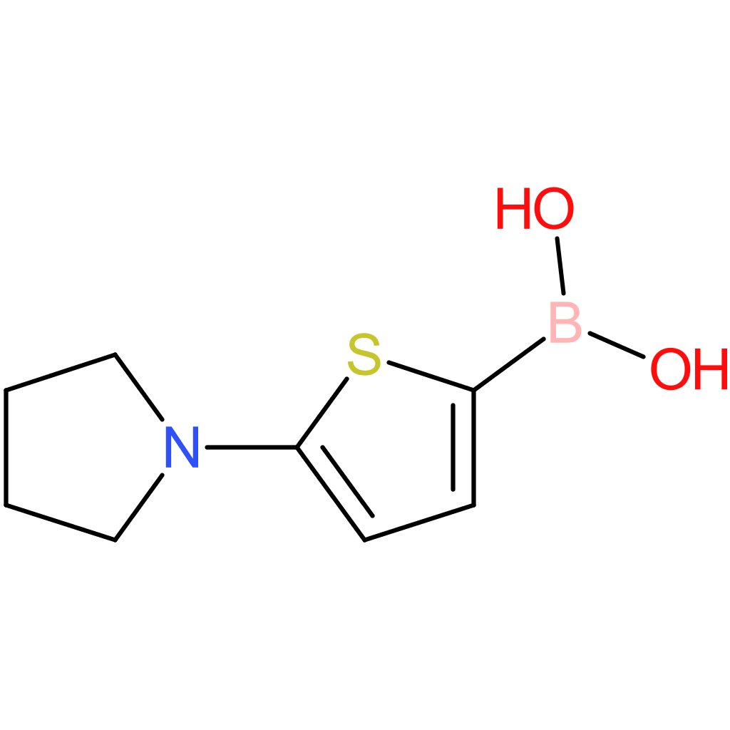 5-(pyrrolidino)thiophene-2-boronic acid