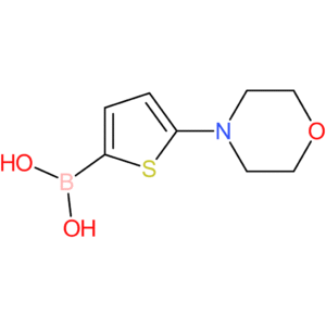5-(morpholino)thiophene-2-boronic acid