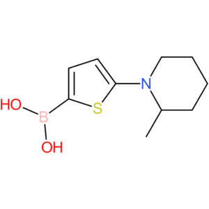 5-(2-methylpiperidin-1-yl)thiophene-2-boronic acid