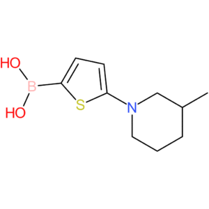 5-(3-methylpiperidin-1-yl)thiophene-2-boronic acid