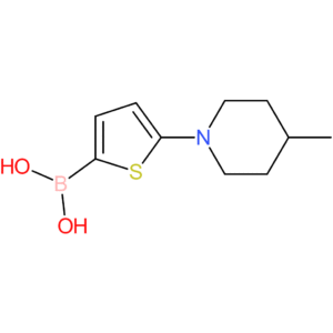 5-(4-methylpiperidin-1-yl)thiophene-2-boronic acid