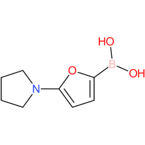 5-(pyrrolidino)furan-2-boronic acid