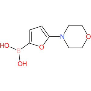5-(morpholino)furan-2-boronic acid