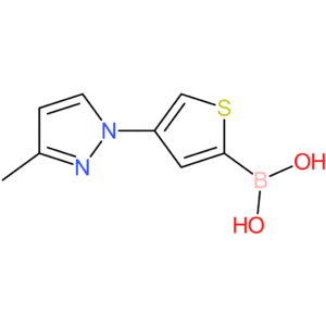 4-(3-methyl-1h-pyrazol-1-yl)thiophene-2-boronic acid