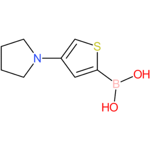 4-(pyrrolidino)thiophene-2-boronic acid