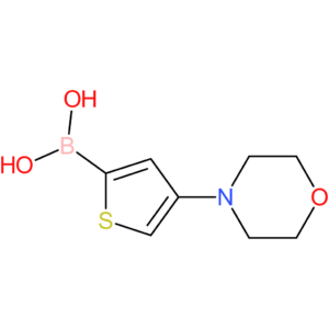 4-(morpholino)thiophene-2-boronic acid