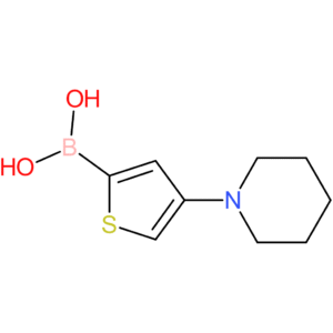 4-(piperidino)thiophene-2-boronic acid
