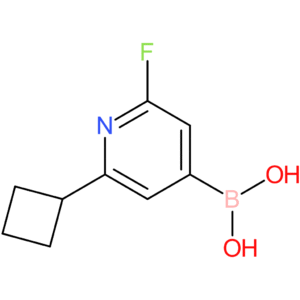 (2-cyclobutyl-6-fluoropyridin-4-yl)boronic acid