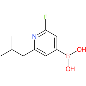 2-fluoro-6-(iso-butyl)pyridine-4-boronic acid