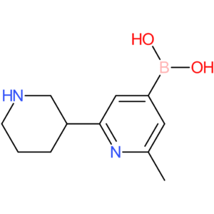 2-methyl-6-(piperidin-3-yl)pyridine-4-boronic acid