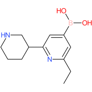 2-ethyl-6-(piperidin-3-yl)pyridine-4-boronic acid