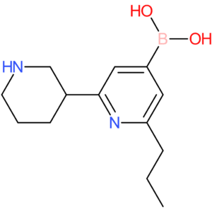 2-(n-propyl)-6-(piperidin-3-yl)pyridine-4-boronic acid