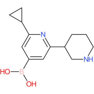 2-cyclopropyl-6-(piperidin-3-yl)pyridine-4-boronic acid