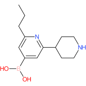2-(n-propyl)-6-(piperidin-4-yl)pyridine-4-boronic acid