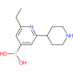 2-ethyl-6-(piperidin-4-yl)pyridine-4-boronic acid