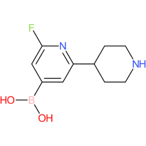 2-fluoro-6-(piperidin-4-yl)pyridine-4-boronic acid