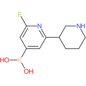 2-fluoro-6-(piperidin-3-yl)pyridine-4-boronic acid