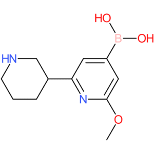 2-methoxy-6-(piperidin-3-yl)pyridine-4-boronic acid