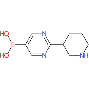 2-(piperidin-3-yl)pyrimidine-5-boronic acid